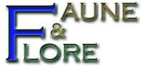 faune&flore.gif (6417 octets)