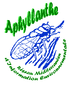 Logo Aphyllanthe - Association Argiope/N. Minck-G. Triboulet