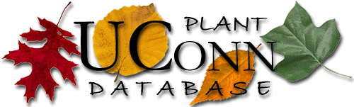 Plantdatabase